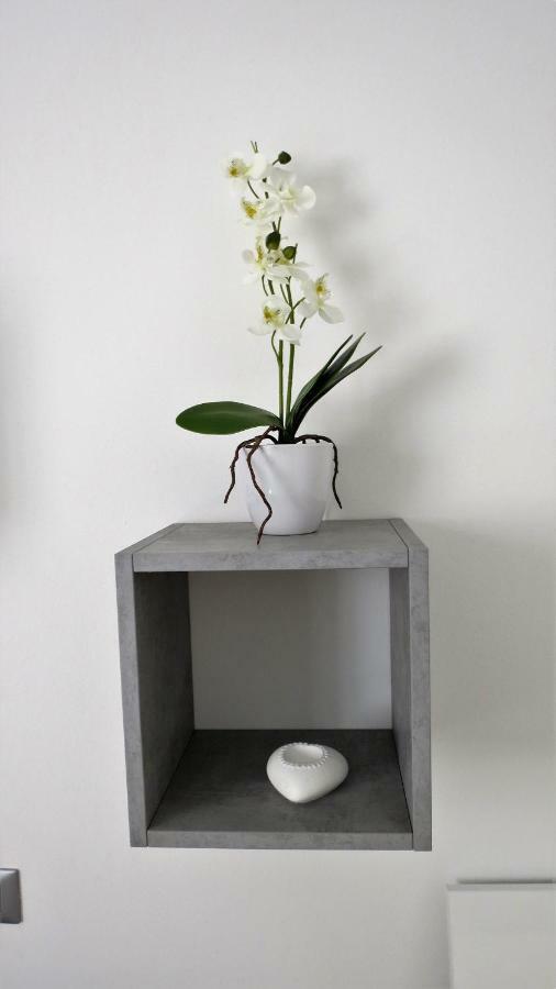 Feel At Home - Casa Alexandra Lovere Exteriér fotografie